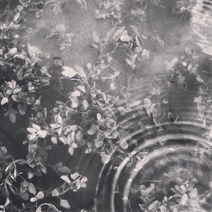 ART BY HUMANS - 8.5 x 11 - Water Art Print - Fine Art Photography