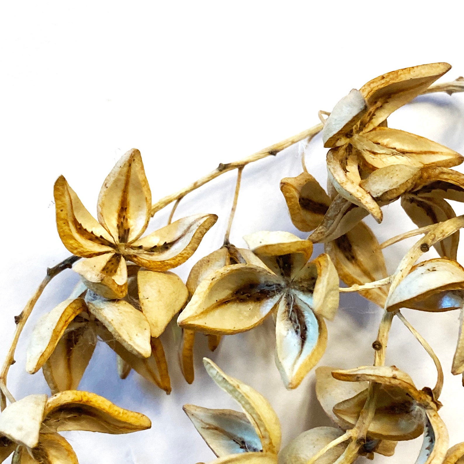 The ultimate guide to Mediterranean interior design - Euro Weekly News