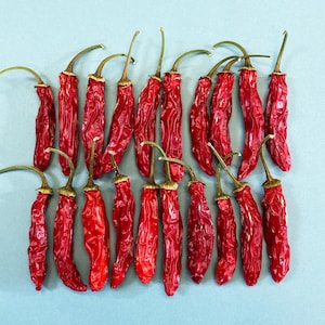20 Beautiful Red Peppers for Home Decor, Craft Supplies, Art Projects - Natural Material - Dried Peppers