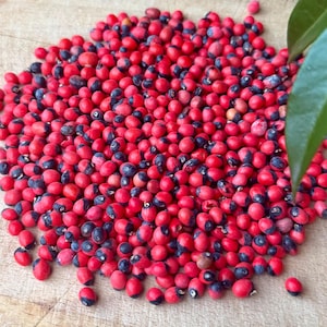 Oju Ologbo: Eso werenjeje, Abrus Precatorious, Cat’s eye seeds