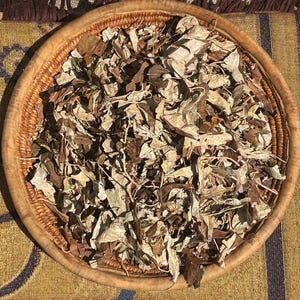 Hojas de oveja Ajeobale Hojas de Croton Zambesicus Chebe x 3 racimos completos