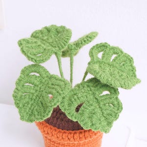May include: A crocheted green monstera plant in a small orange pot. The plant has several leaves with cutouts.