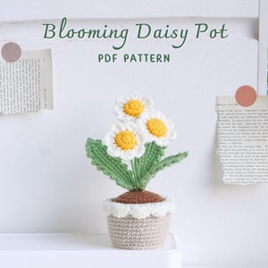 Blooming Daisy Pot-haakpatroon, haakpatroon bloempot, gehaakt huisdecor, digitaal pdf-patroon