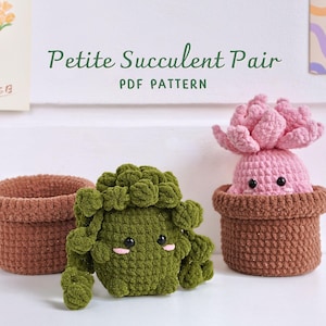 May include: A crochet PDF pattern for a Petite Succulent Pair. The image shows a brown crochet basket, a green crochet succulent, and a pink crochet succulent in a brown pot. The succulents have cute faces.