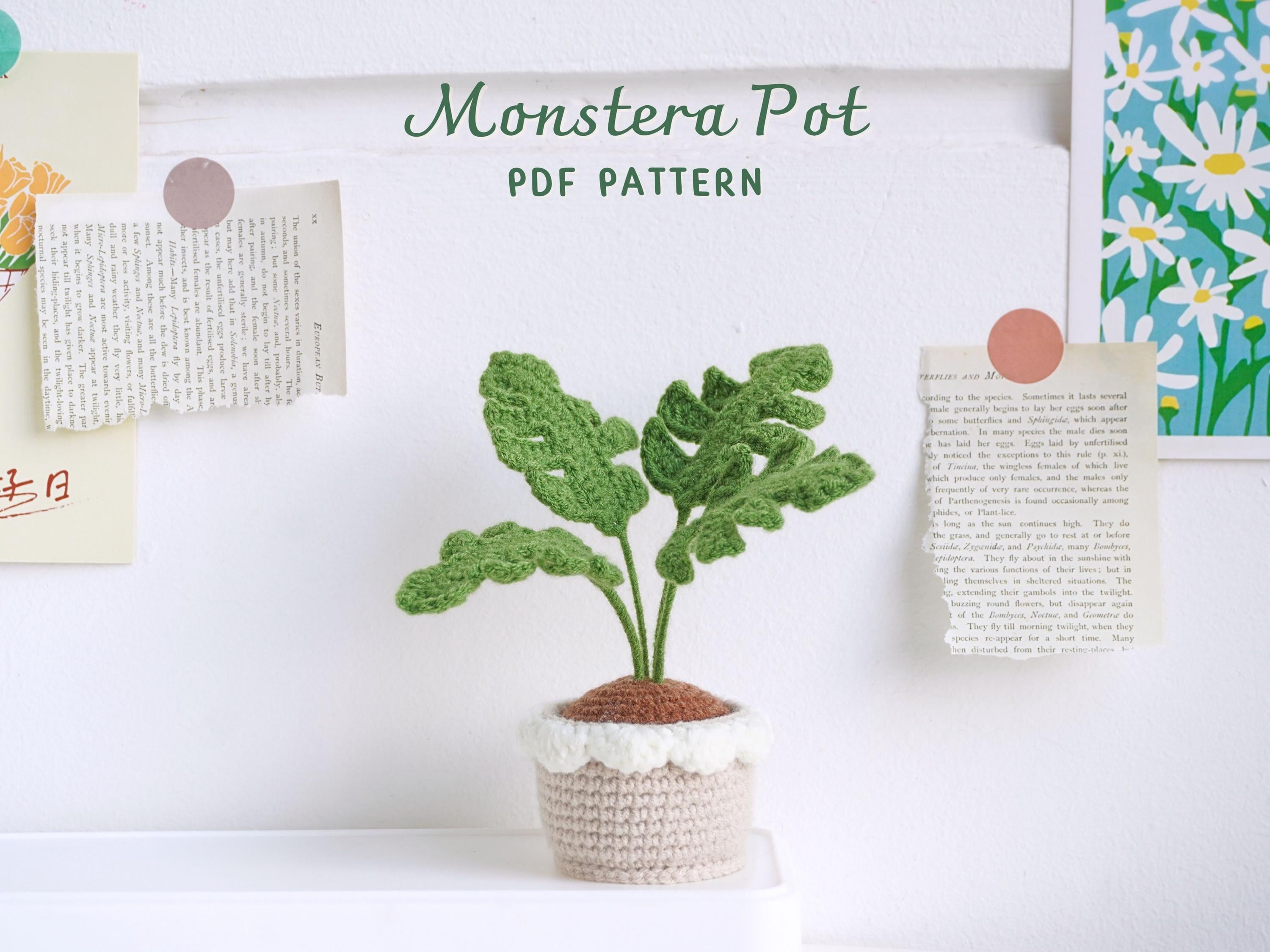 32 Monstera Crochet Patterns for Tropical Leaves, Wall Hangings, and Potted Plants 6 Monstera Pot Crochet Pattern