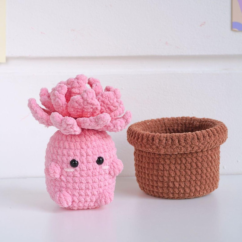 May include: A pink crocheted succulent plant with a happy face in a brown crocheted pot.