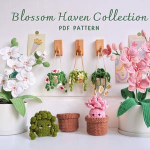 May include: Crochet patterns for a collection of hanging plants and potted plants. The patterns are called the Blossom Haven Collection. The image shows a white orchid, a pink orchid, a green succulent, and a pink succulent, all crocheted.
