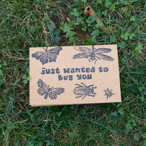 May include: A brown card featuring black insect illustrations, such as butterflies and a dragonfly. The text "Just wanted to bug you" is printed in blue. The card is placed on green grass, with clover visible.