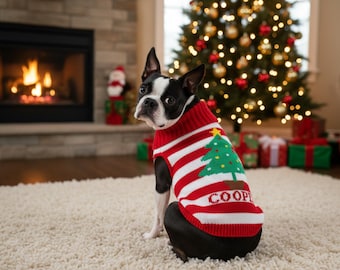 Pull de Noël personnalisé pour chien avec nom | Pull en tricot personnalisé pour animal de compagnie | Pull des Fêtes pour chien | Pull d'hiver chaud pour animal de compagnie