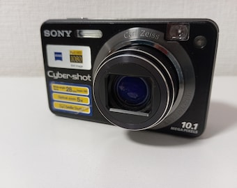 Amazon.com : Sony Cybershot DSCW170 10.1MP Digital Camera