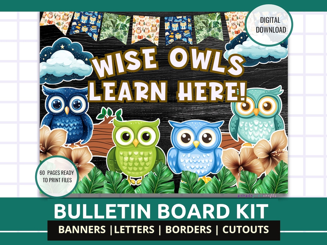 Daycare Bulletin Board Kit Owl Theme Bulletin Daycare Classroom Decor ...