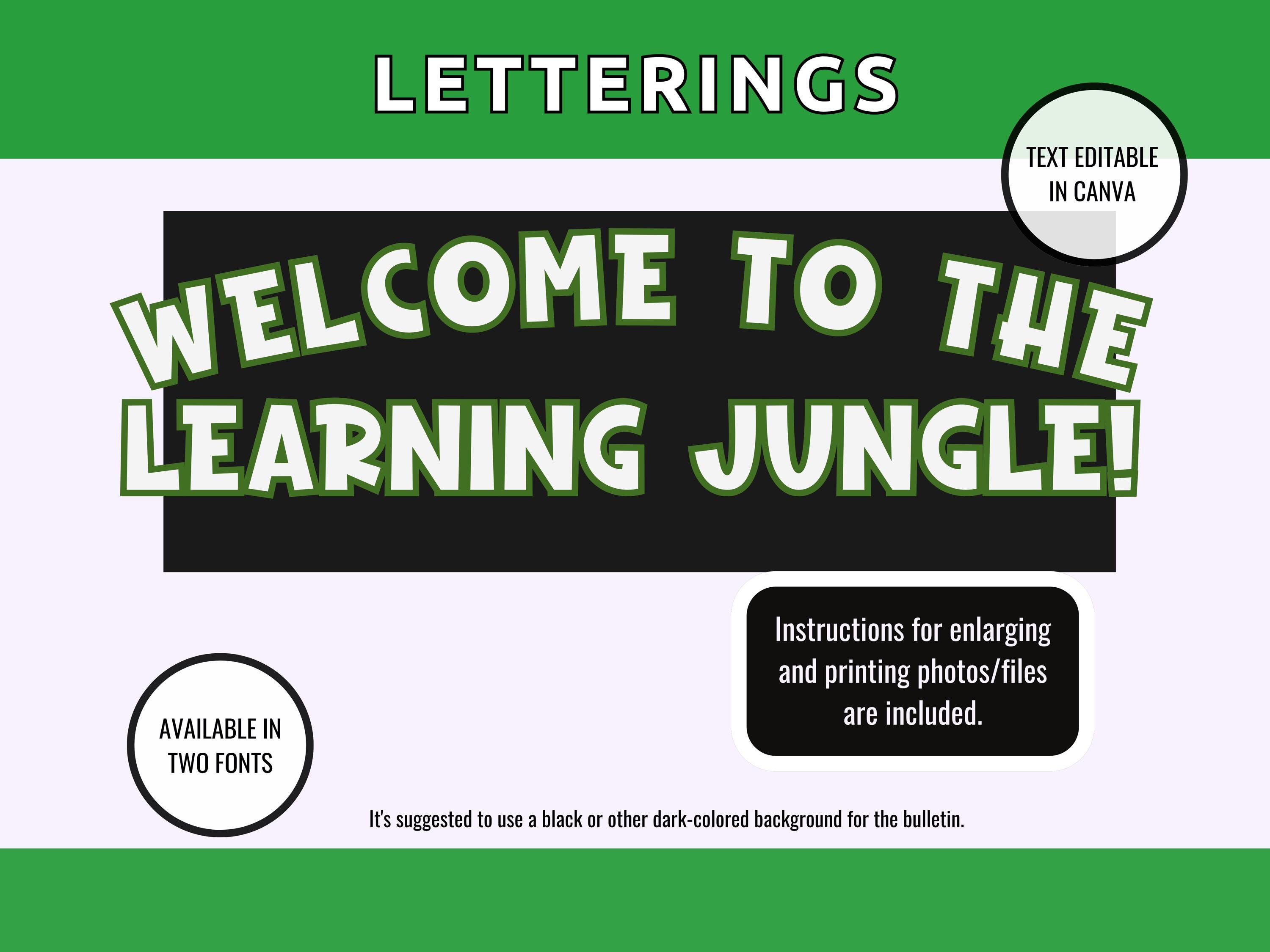 Classroom Bulletin Board Safari Jungle Theme Decor Set Back to School ...