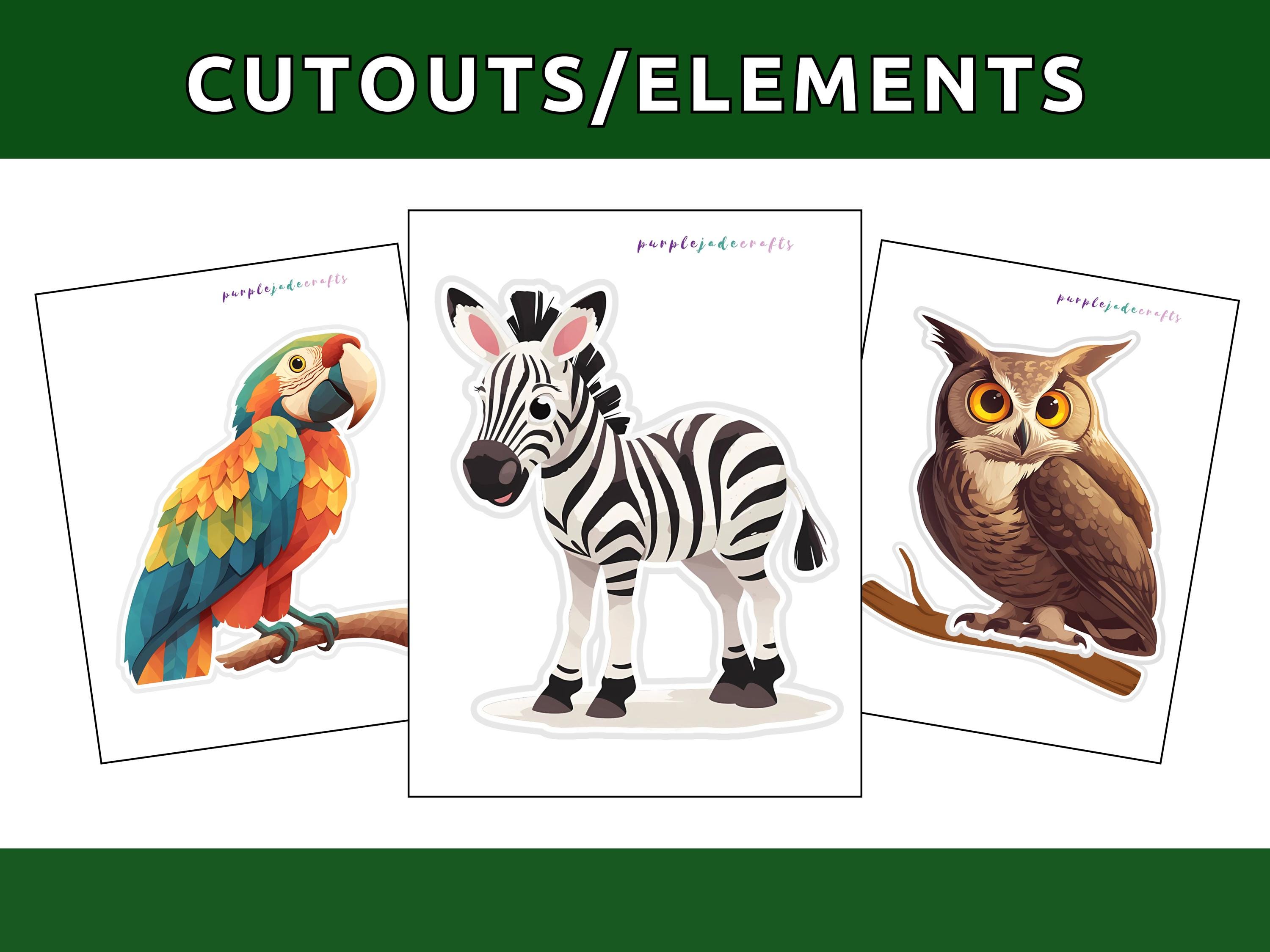 Safari Jungle Bulletin Board Kit: Classroom Decor (digital Download) - Etsy
