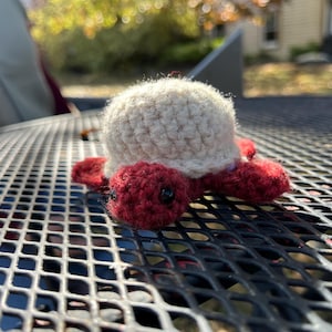 May include: A handmade crochet turtle with a cream-colored shell and red body, head, and feet. The turtle has small black eyes and is sitting on a black metal surface. The turtle is a cute, whimsical item.