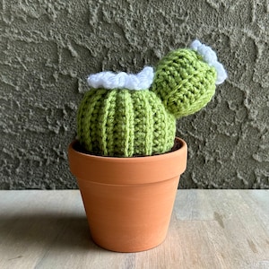 Bubble Barrel Cactus Crochet Pattern | Crochet Cacti | Crochet Succulents | Succulent Patterns| Amigurumi Pattern | Crochet Cactus Pattern