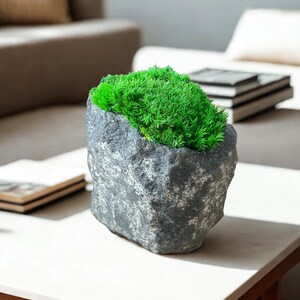 May include: A gray stone planter filled with vibrant green artificial moss. The planter has a rough, textured surface and sits on a white table. The moss is a bright, contrasting color against the stone.