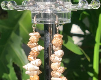 Beach Seashell Dangle Earrings