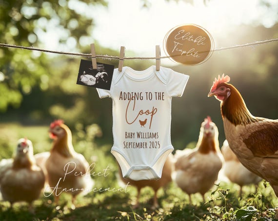 Chicken Pregnancy Announcement Digital Canva Template, New to the Coop Simple Chicken Baby Reveal, Editable Western Farm Baby Announce