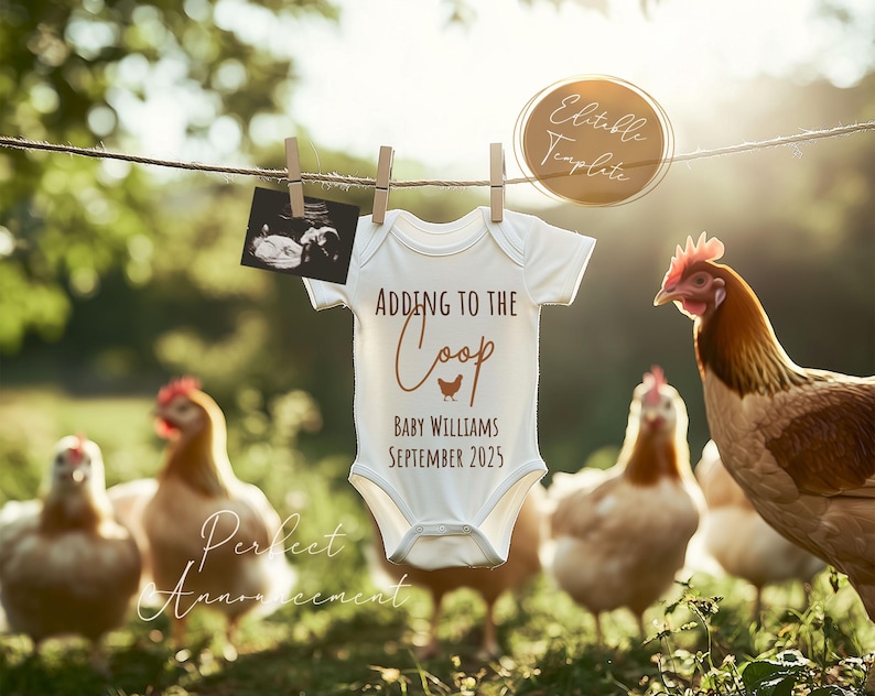 Peut inclure: Une grenouill&egrave;re blanche pour b&eacute;b&eacute; avec le texte "Adding to the Coop" en lettres brunes. Un graphique de poussin brun est au-dessus du texte. La grenouill&egrave;re porte &eacute;galement le texte "Baby Williams September 2023" en lettres brunes. La grenouill&egrave;re est suspendue &agrave; une corde &agrave; linge avec une image d'&eacute;chographie floue en arri&egrave;re-plan. Il y a des poulets au premier plan.