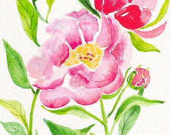 Pink Peony l Fine Art l  Watercolor Print