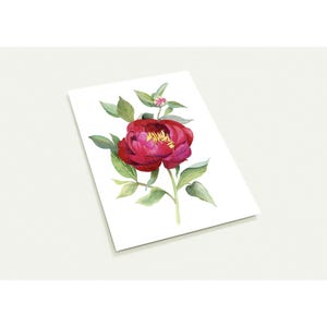 Elegante karmozijnrode pioenrooswenskaarten - pak van 10 - milieuvriendelijk