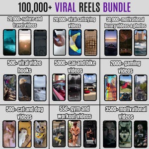 100.000+ Videos Bundle MRR PLR Befriedigendes Gaming Luxus animierte KI Motivation Lustig Katze Hund Gym Instagram Reels YouTube Shorts und TikTok
