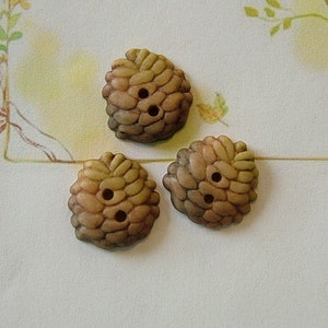 May include: Three decorative buttons with a textured, pinecone-like design. The buttons are primarily tan with darker brown shading, each featuring two small holes for sewing. They are arranged on a light background with a floral border.