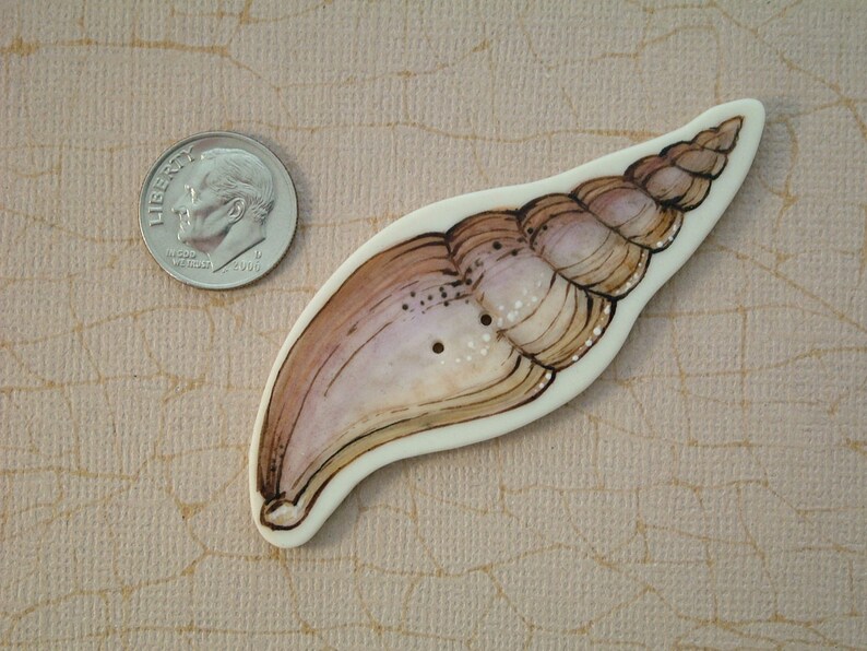 Sea Shell Button - Etsy