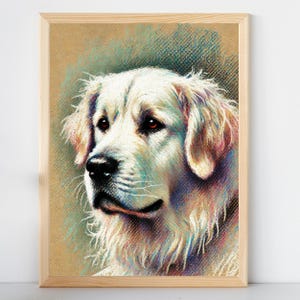 Golden Retriever Illustration Of Golden Retriever Lover Drawing For Golden Retriever Owner Golden Retriever Dog Artwork For Dog Lover
