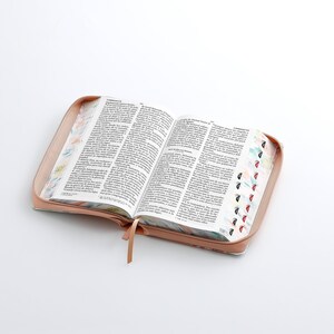 May include: An open book with a pink cover and colorful patterned edges. The pages are filled with text.