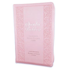 May include: Pink leather-bound Bible with the title "Santa Biblia" embossed in silver. The cover features a floral design and the text "Nueva Santa Biblia Reina-Valera 1960" and "Concordancia Palabras de Cristo en Rojo".