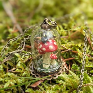 May include: A glass pendant necklace featuring a red and white mushroom and a small beetle inside. The pendant hangs from a bronze chain and is surrounded by green moss.