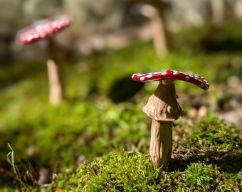 Flache Pilz Pflanzenstecker, Zimmerpflanzen Dekor, Cottagecore Dekoration, Fantasy, Märchen, wunderliche Pilze