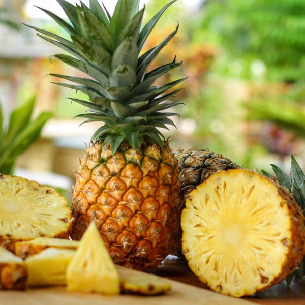 Pineapple Plant - Etsy