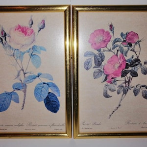 Vintage Botanical Print framed flowers picture Set of 2 Redoute Redouté Red Rose Rosa Imprimerie de Remond Botanical Wall Art decor
