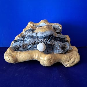 Seashell