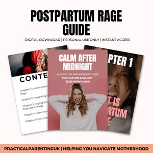 Postpartum Rage Guide: New Mom Support Ebook (PDF Download)