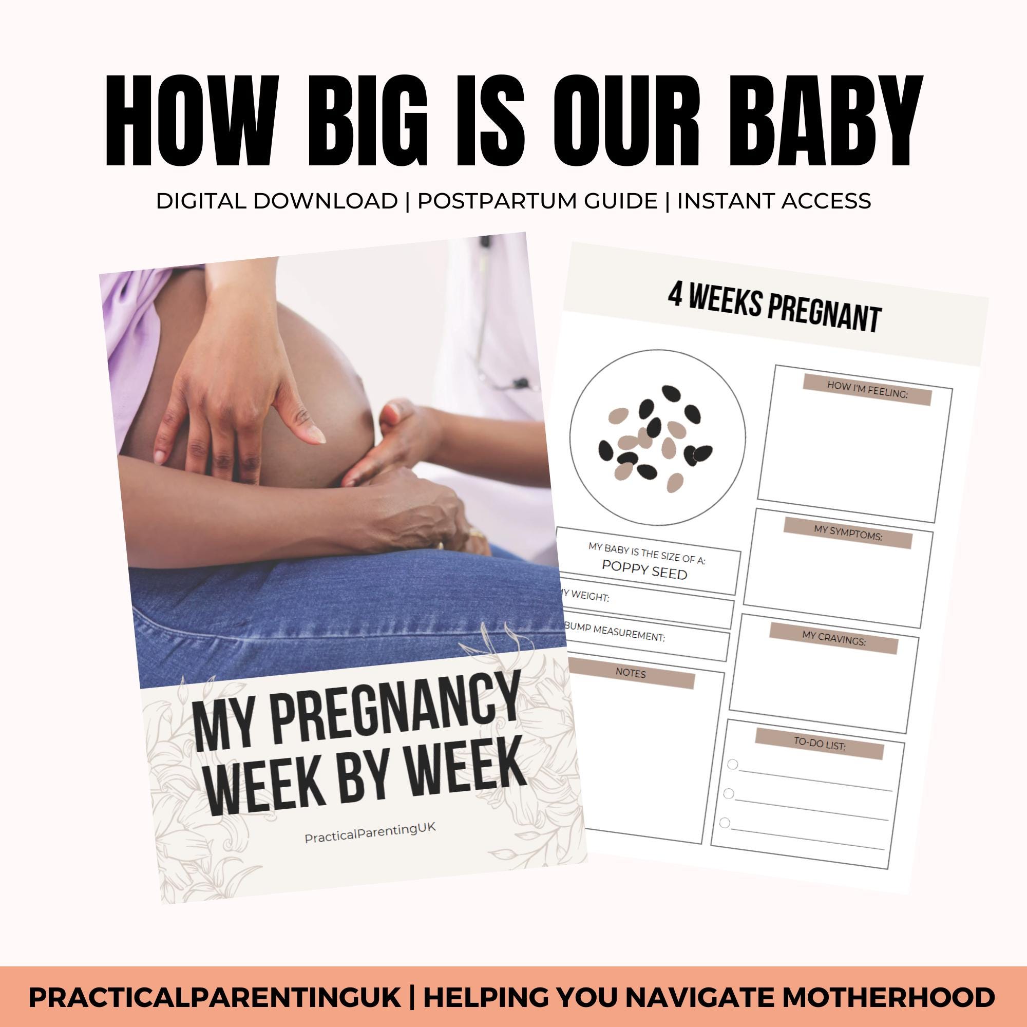 Baby Size Comparison Chart – Week-by-week Pregnancy Growth Tracker ...