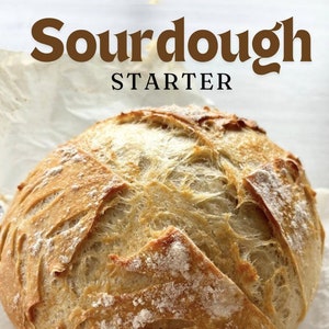 WHOLESALE PRICE Sourdough Starter ⋆₊⊹ Dry Family Sourdough Starter