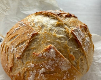 22歳のサワードウスターター⋆₊⊹真夜中⊹₊⋆乾燥ファミリーサワードウカルチャー