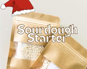 23 y.o SUPER ACTIVE Sourdough Starter ⋆₊⊹Midnight ⊹₊⋆ with personal support in chat