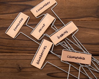 thumbnail image 2 of Bravex 25-Pack Copper Plate Metal Plant Labels – Reusable Garden Stake Tags For Herbs & Seedlings 2 of 4