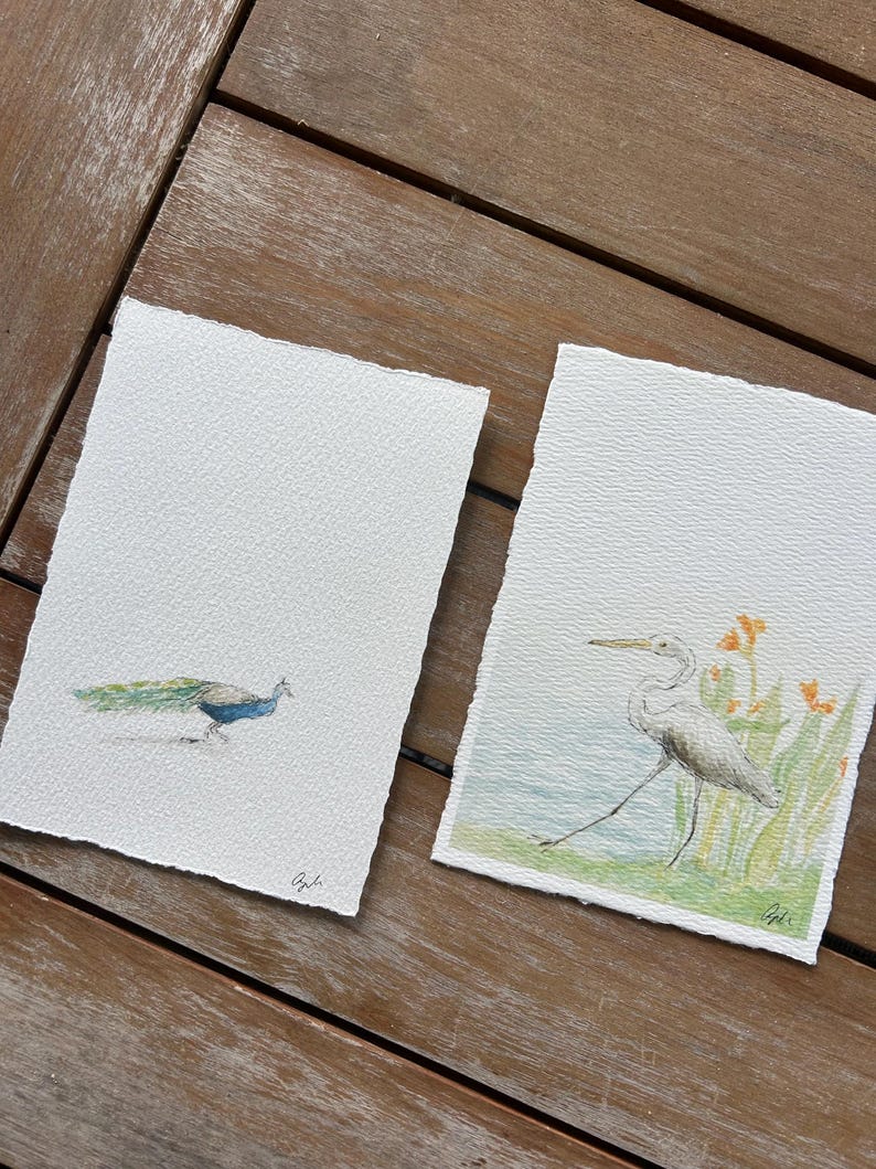 May include: Two watercolor paintings on textured paper. One depicts a peacock with blue and green plumage. The other shows a white heron near water and orange flowers. Both are signed in the lower right corner.