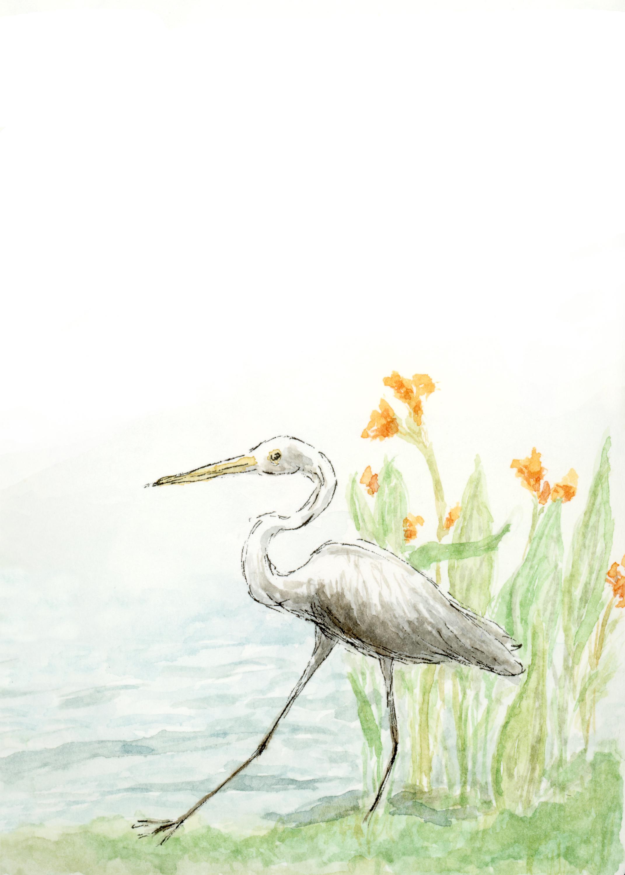 Great Egret Watercolor Print – Florida Wildlife Art (5x7") - Etsy