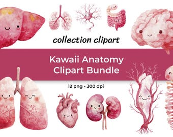 Kawaii Anatomy Clipart Bundle | Human Organs Watercolor Bundle | Medical School - 12 PNG 300 DPI