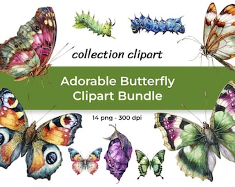 Watercolor Butterfly Clipart Bundle - Watercolor Caterpillars & Butterflies - 14 PNG 300 DPI