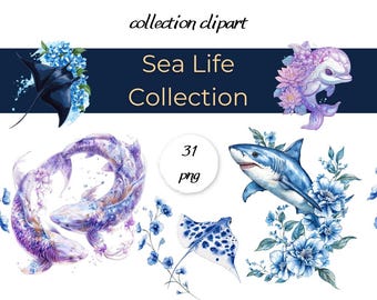 Tropical blue reef clipart.  Sea Life Collection - 31 PNG 300 DPI