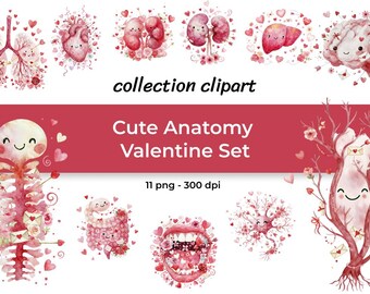Kawaii Anatomy Valentine Clipart – Medical Organs PNG Set (Digital Download)