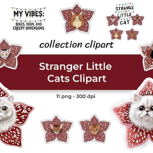 Puede incluir: Una colección de imágenes prediseñadas con gatos dentro de un diseño floral rojo y blanco. Se muestra el texto "Stranger Little Cats Clipart". El texto adicional incluye "MY VIBES: BIKES, NEON, AND CREEPY DIMENSIONS" y "STRANGE LITTLE CAT".