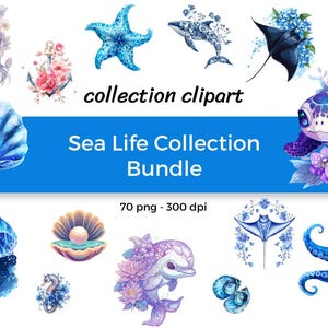Sea Life Collection Bundle - 6 in 1, 70 PNG, 300 DPI